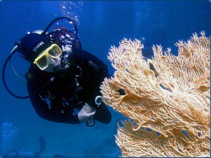 kurz potápění Advanced Open Water Diver Hurghada