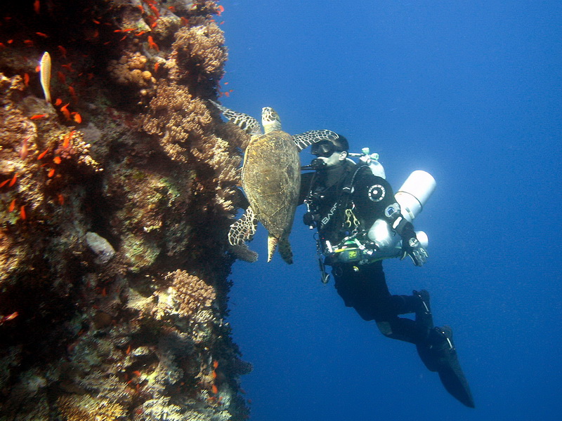 Hurghada - potápěčské lokality pro náročné
