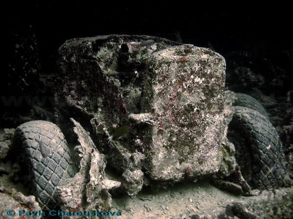 Thistlegorm