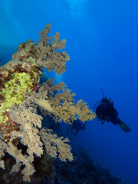 Potápění Hurghada - správné vyvážení