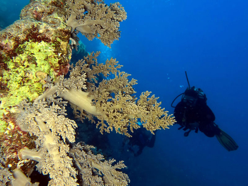 Kontrola před ponorem Hurghada